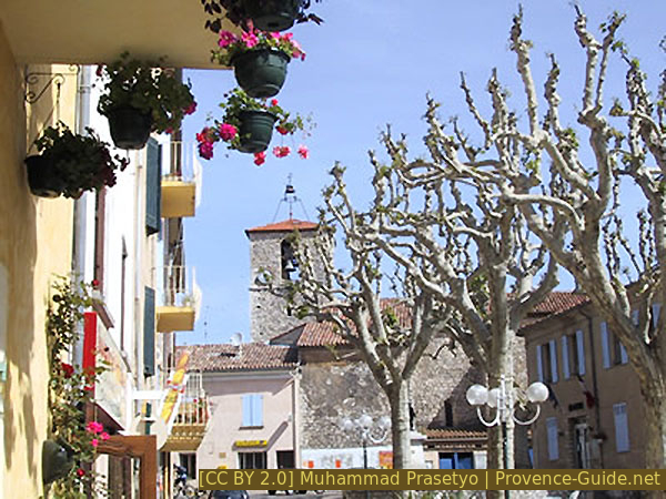 market image