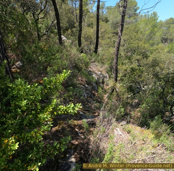 randos photo