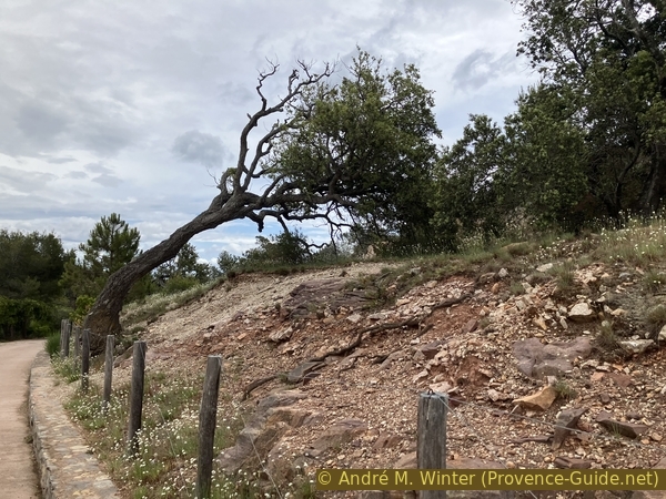 sites photo